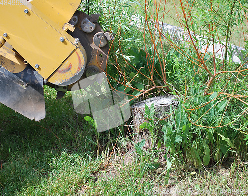 Image of Stump machine at work.