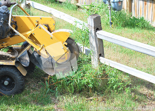Image of Stump machine at work.