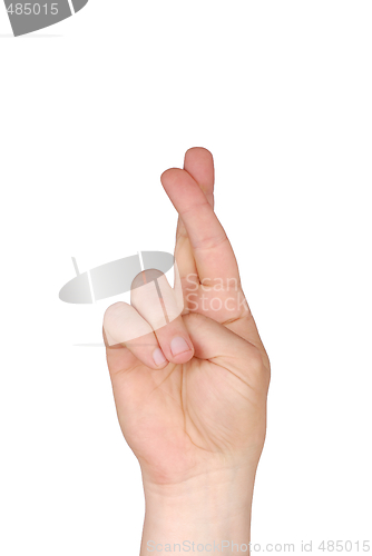 Image of Crossed Fingers