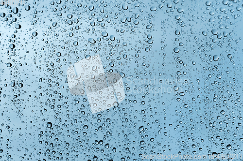 Image of Water drops on glass, green texture