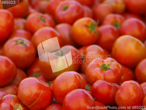 Image of tomatoes