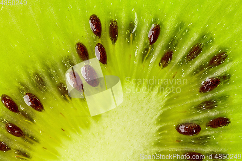 Image of fresh green kiwi macro