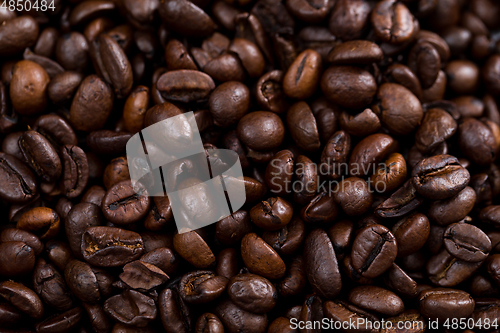 Image of Coffee bean