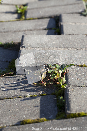 Image of Damaged tiles