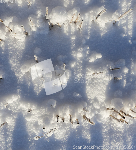 Image of Snow drifts