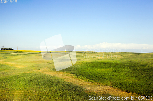 Image of Green field