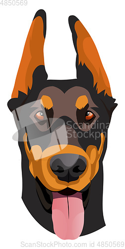 Image of Doberman illustration vector on white background