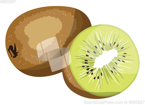 Image of Brown kiwi fruit and green kiwi half vector illustration on whit