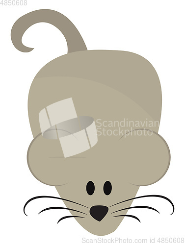 Image of Drawing of a cute little grey mouse set on isolated white backgr