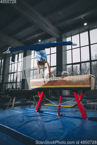 Image of Little male gymnast training in gym, flexible and active. Caucasian fit little boy, athlete in sportswear practicing in exercises for strength, balance.