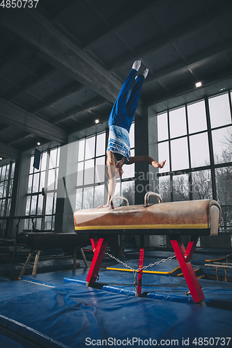 Image of Little male gymnast training in gym, flexible and active. Caucasian fit little boy, athlete in sportswear practicing in exercises for strength, balance.