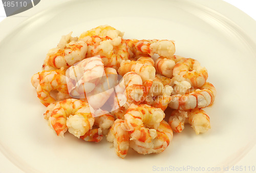 Image of Shrimps