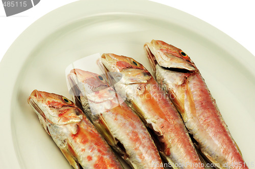 Image of Red Mullet