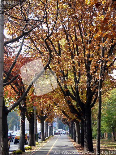 Image of Autumn in the city