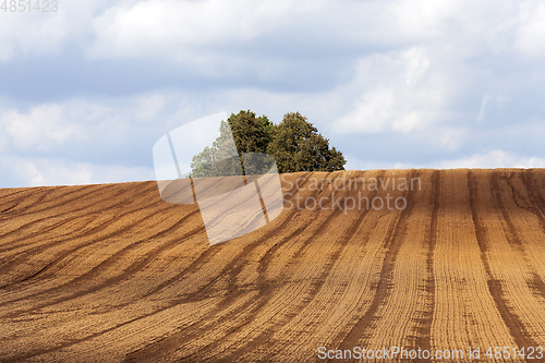 Image of Plowed field