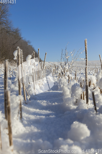 Image of Snow drifts