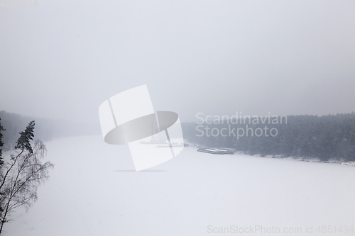 Image of forest in winter