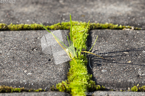 Image of old Bricks and grass