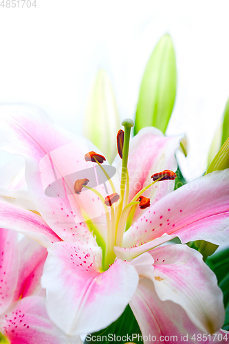 Image of pink lily flower bouquet