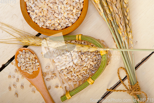 Image of organic barley grains