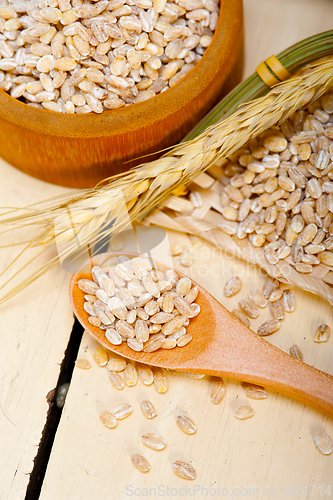 Image of organic barley grains