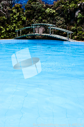 Image of Pool