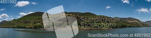 Image of Vineyars in Douro Valley