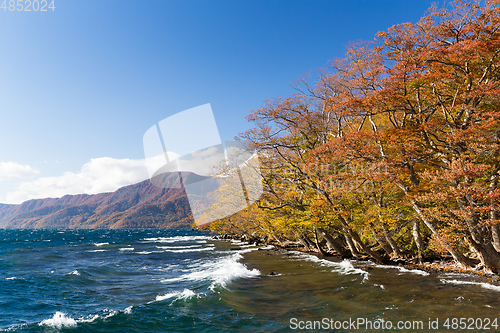 Image of Lake Towada in autumn