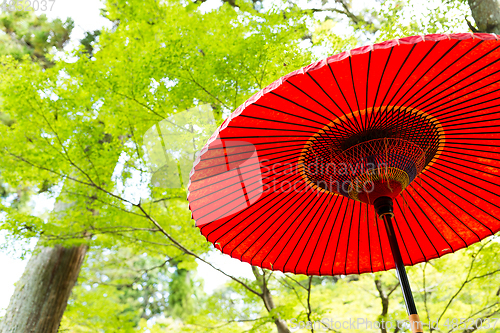 Image of Red umbrella in the park with maple