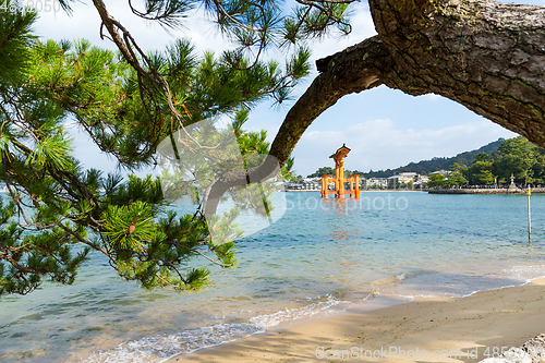 Image of Itsukushima Shrine in Japan