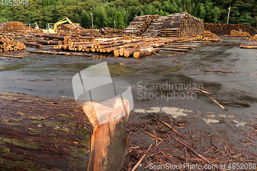 Image of Timber in forest