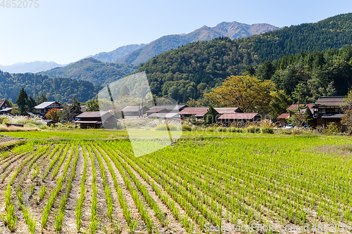 Image of Japanese Shirakawago village 