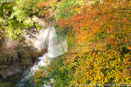 Image of Waterfall in Naruko canyon