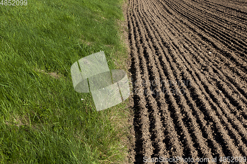 Image of border of plowed land