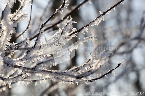 Image of glowing crystals frost