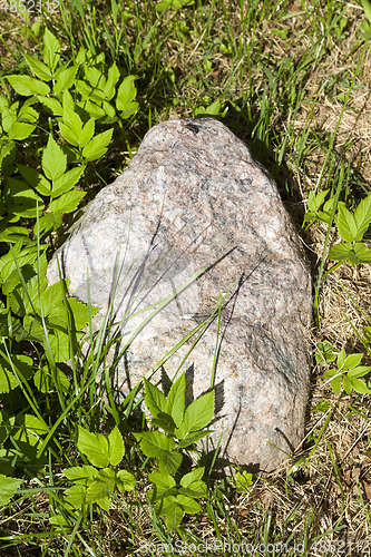 Image of Stone on green