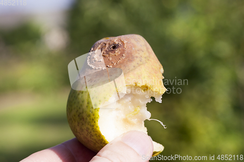 Image of bitten ripe pear