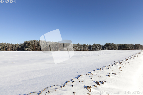 Image of Snow drifts in winter