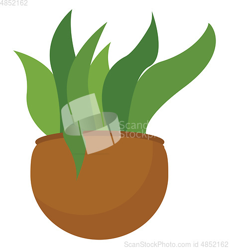 Image of Clipart of a green plant potted on a brown earthen pot vector or