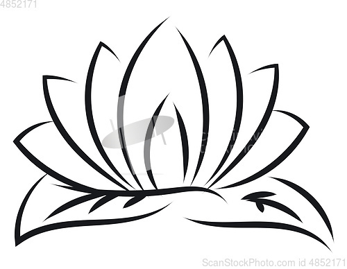 Image of Black outlines of lotus vector illustration on white background 