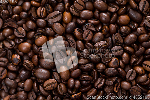 Image of Coffee bean