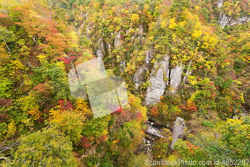 Image of Naruko canyon in Japan