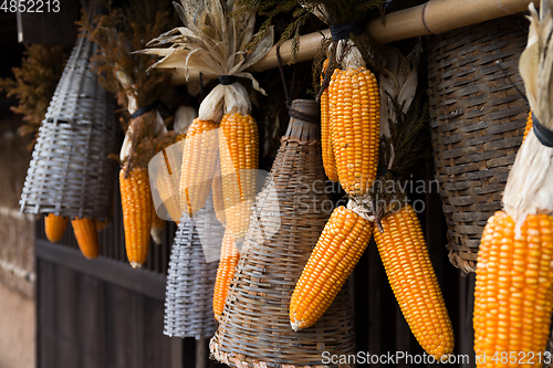 Image of Dried corn