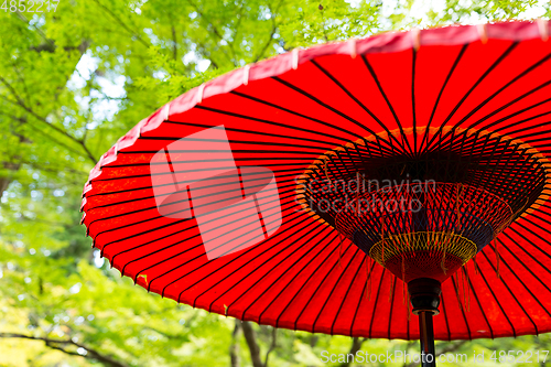 Image of Paper umbrella in park