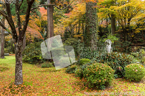 Image of Autumn park 