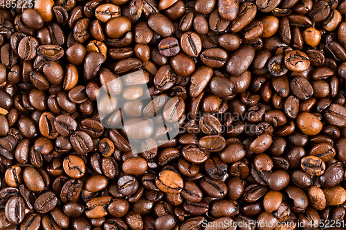 Image of Coffee bean background