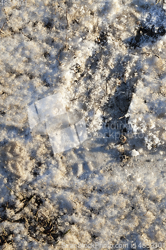 Image of dirty snow