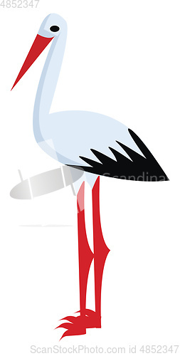 Image of A white Stork bird with a long bright bill and pink legs vector 