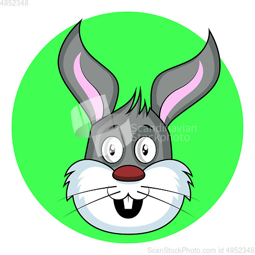 Image of Cartoon grey rabbit vector illustartion on white background