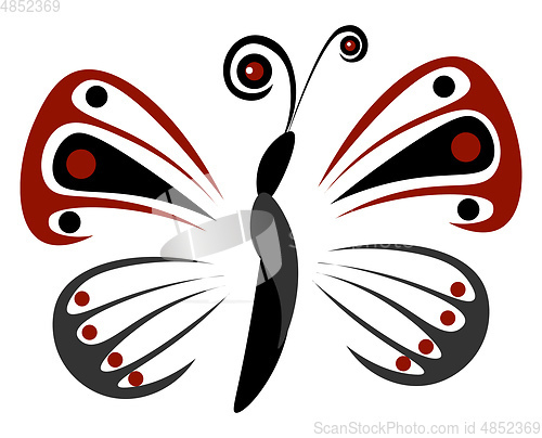 Image of Butterfly with red on his wings White background 